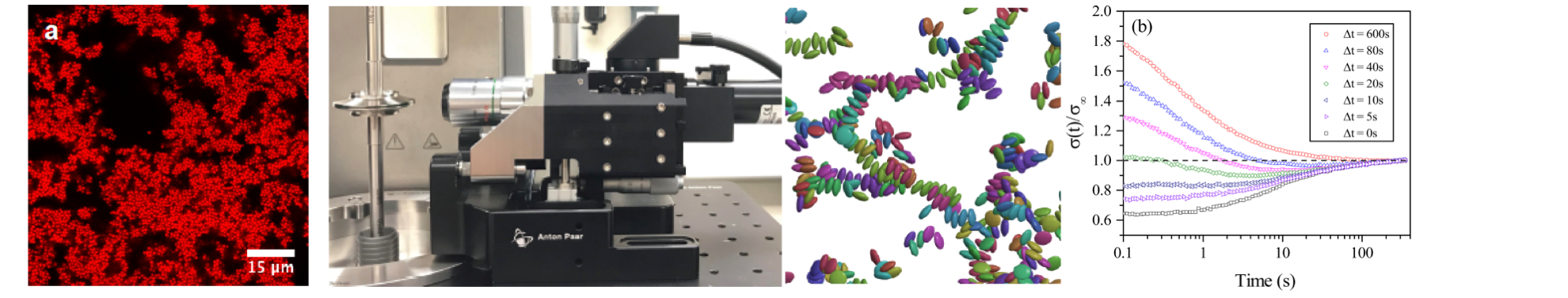 Colloidal Gelation and Rheology – The Solomon Group