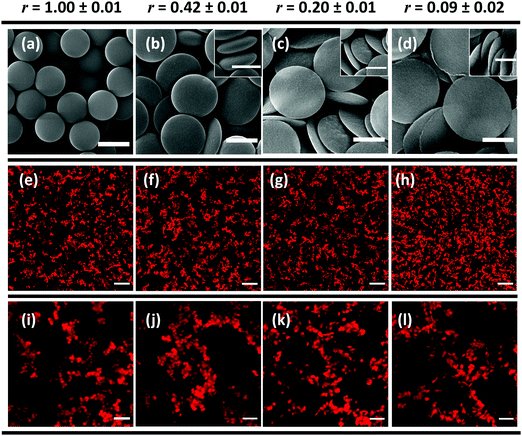 Colloidal Gelation and Rheology – The Solomon Group